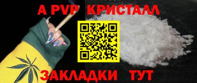 СК Новокубанск