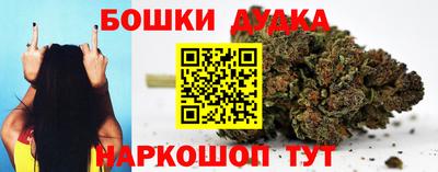 СК Новокубанск
