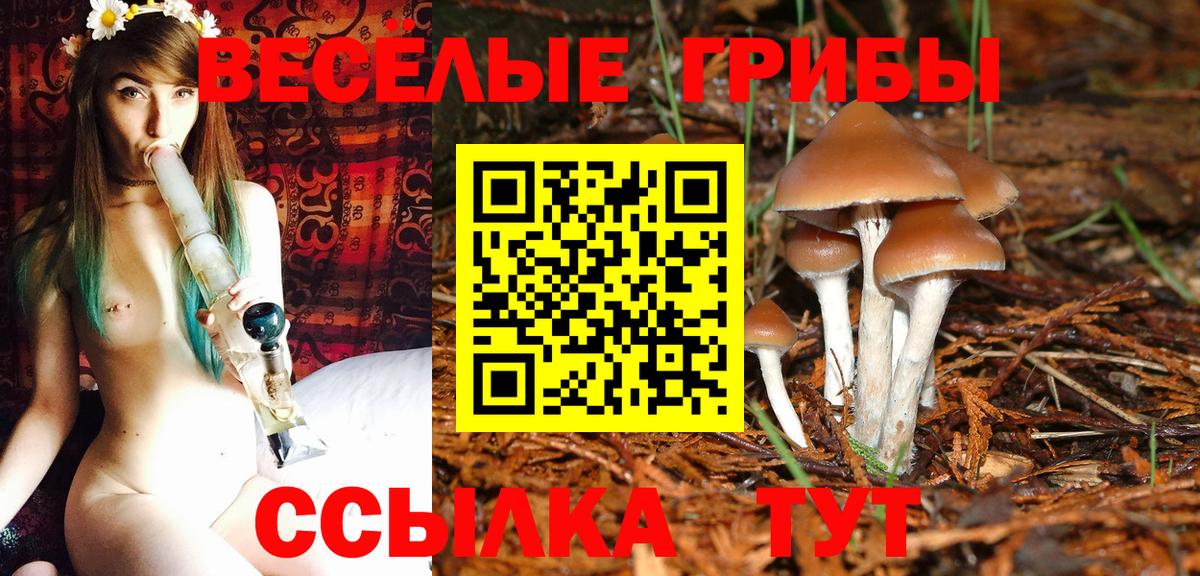 Тавда  Галлюциногенные грибы мухоморы  закладки  Галлюциногенные грибы MAGIC MUSHROOMS  Вход с VPN 