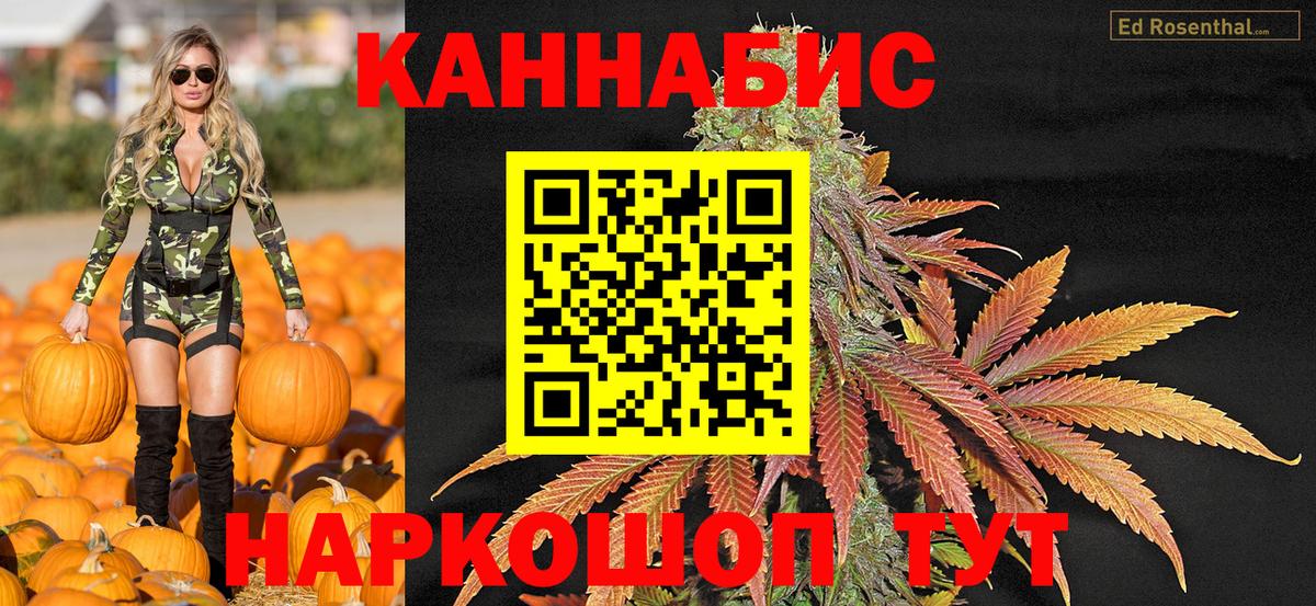МАРИХУАНА OG Kush  Канабис SATIVA & INDICA  Тавда  Марихуана White Widow  Марихуана Bruce Banner  Вход с VPN 